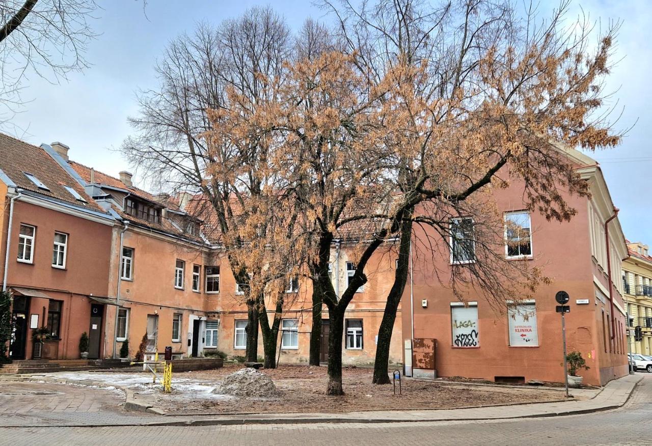 Апартаменты Cozy Studio In Heart Of Old Town Вильнюс Экстерьер фото